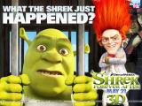 Shrek Forever After (2010)